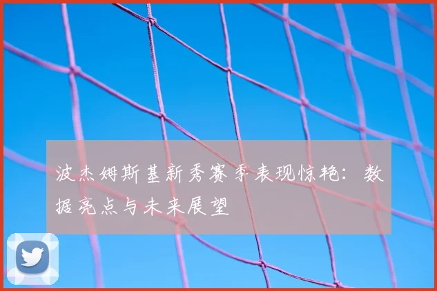 波杰姆斯基新秀赛季表现惊艳：数据亮点与未来展望